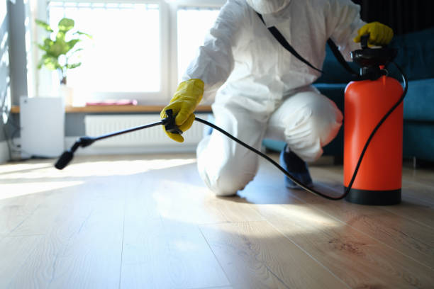 Reliable Odor Removal contractor in Georgetown, CA by Crime Scene Cleaner Online